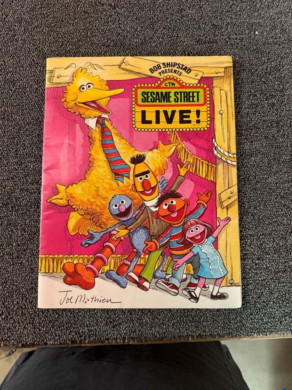 Vintage 1981 CTW Sesame Street Live Big Bird's Super Spectacular Totally Amateur